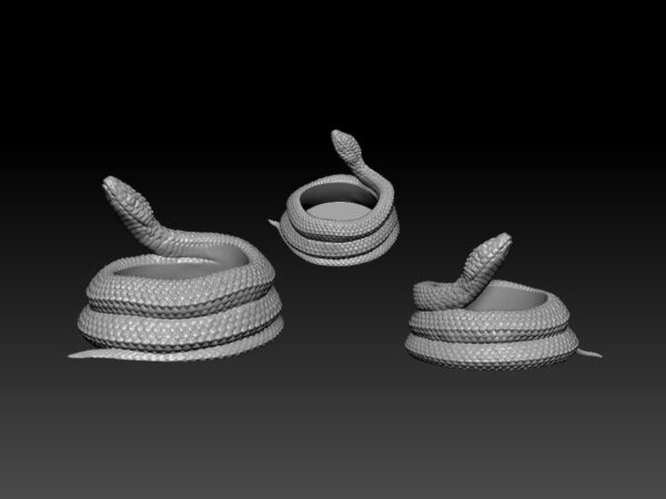 Maceta con forma de Serpiente para cactus o suculentas - Image 3