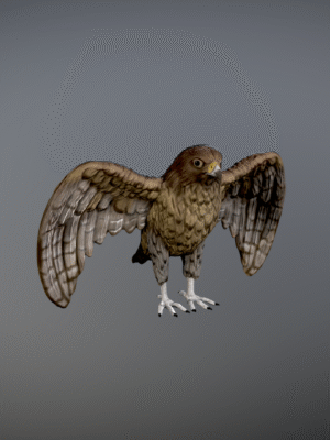 Modelo 3D de halcón imprimible en 3D