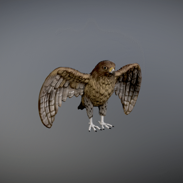 Modelo 3D de halcón imprimible en 3D