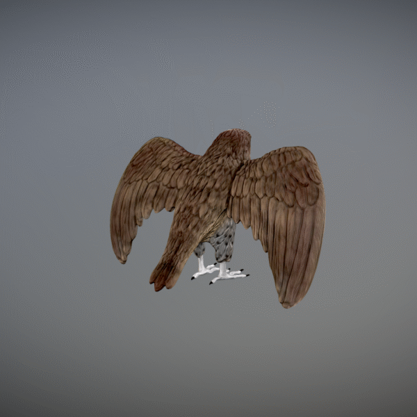 Modelo 3D de halcón imprimible en 3D - Image 3
