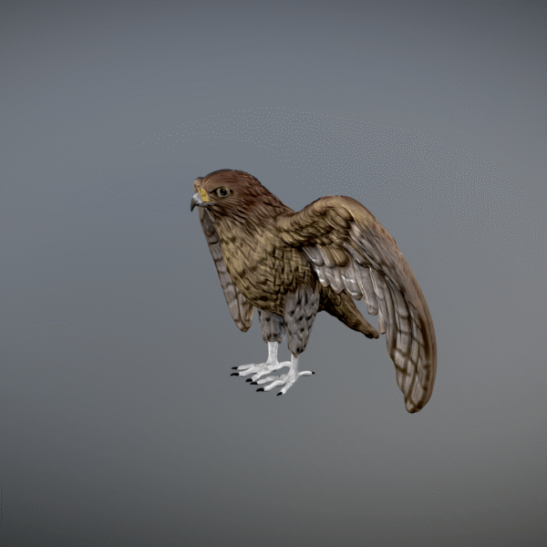 Modelo 3D de halcón imprimible en 3D - Image 5