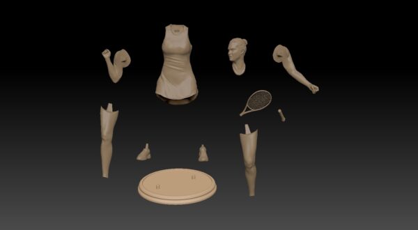 Fan art de Aryna Sabalenka, modelo 3D para impresión 3D. - Image 2