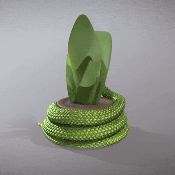 Maceta con forma de Serpiente para cactus o suculentas - Image 4